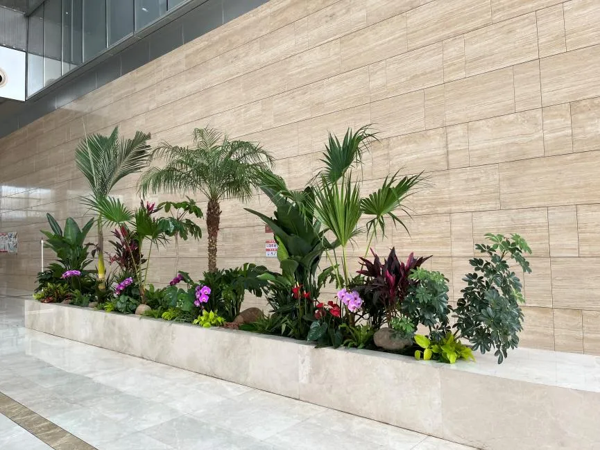 宁波慈溪花卉出租哪家好