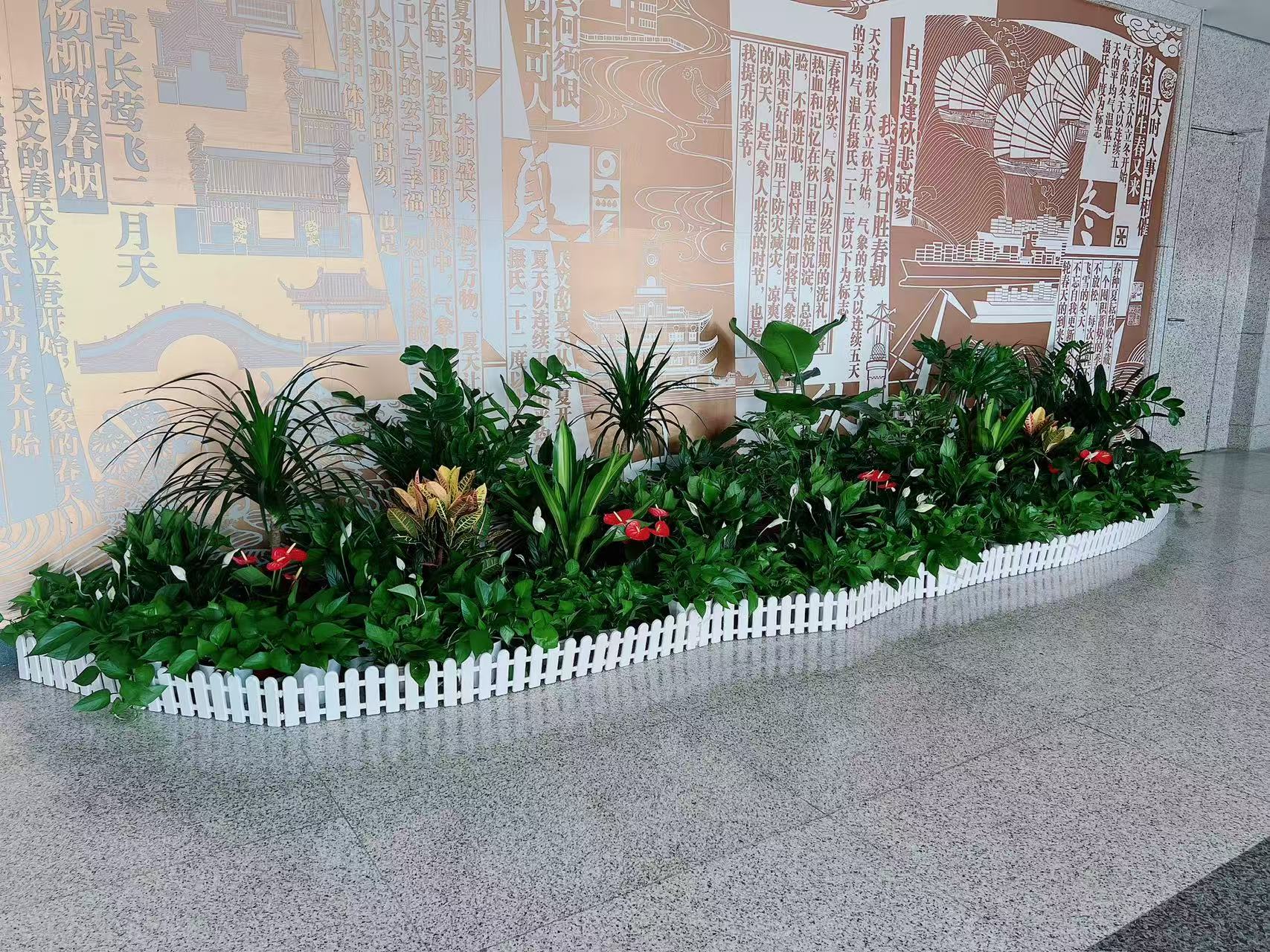 杭州湾绿植租赁，打造生机勃勃的办公环境